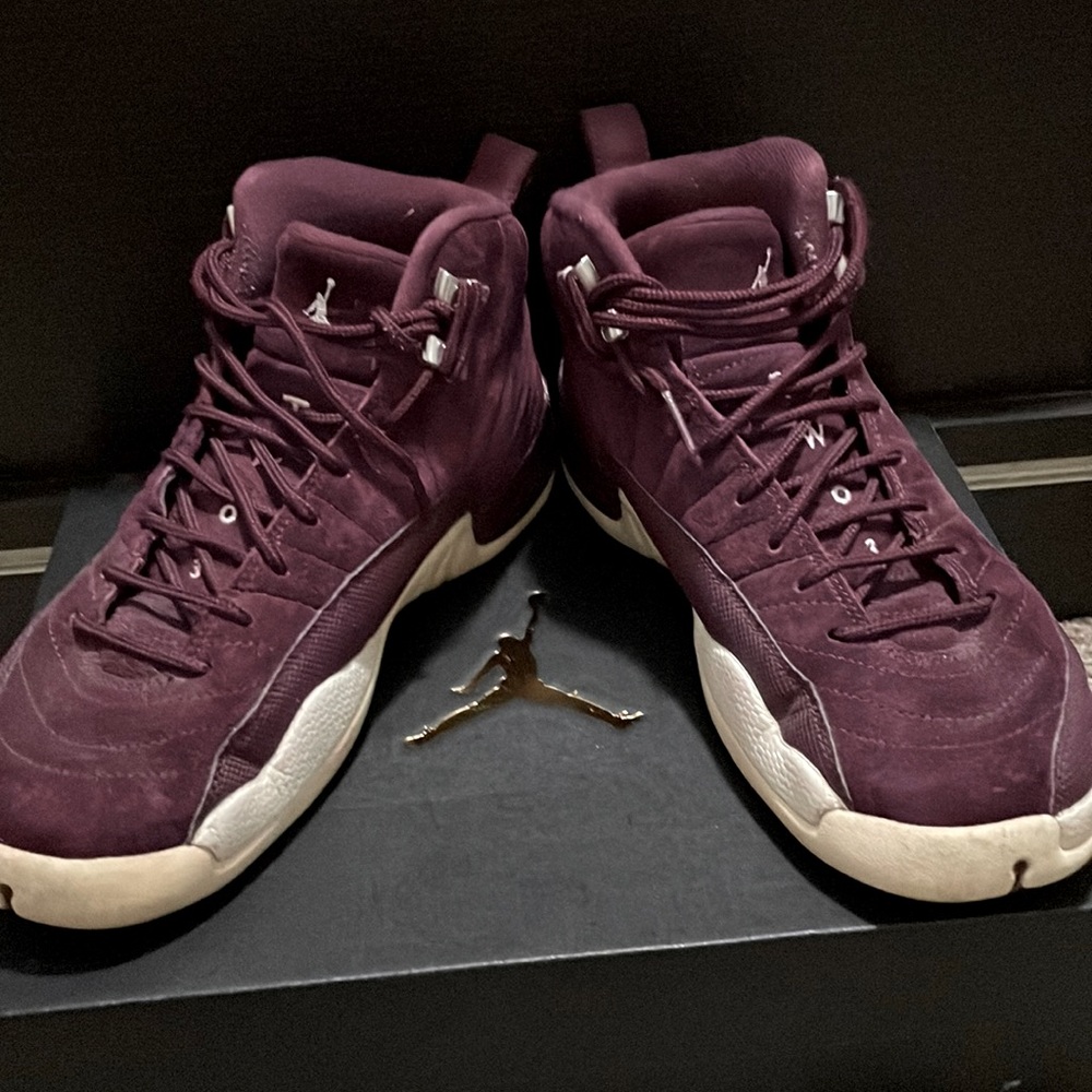 Air Jordan 12’s